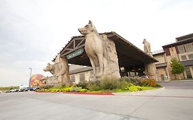The Great Wolf Lodge Grapevine Texas